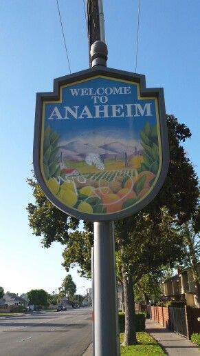 ERP Therapy in Anaheim, CA: Real-Life Contamination OCD Exposures